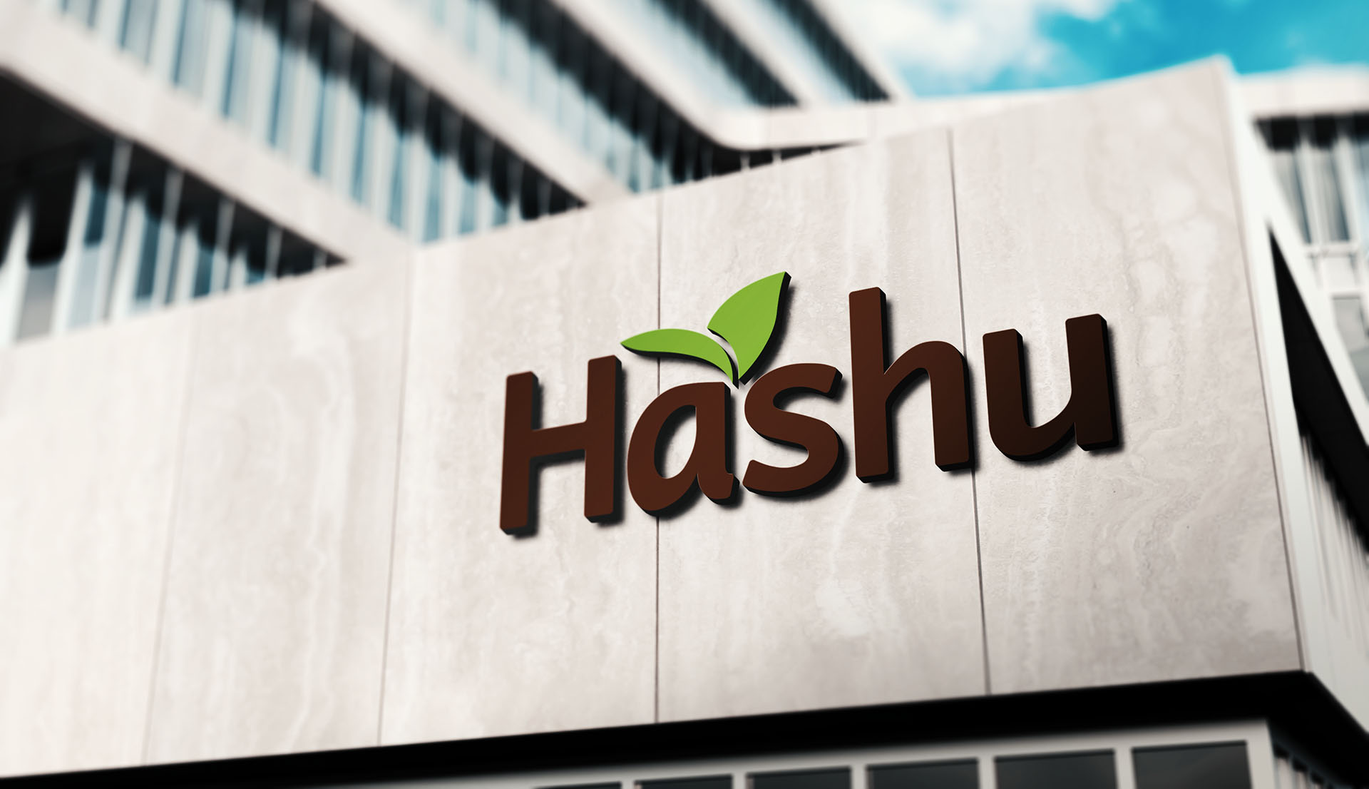 Proyecto Hashu realizado por Markadedo